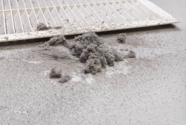 Best Air Duct Cleaning Near Me  in Fowlkes, TN
