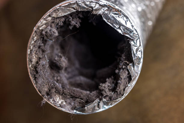 Best Air Duct Cleaning Near Me  in Fowlkes, TN
