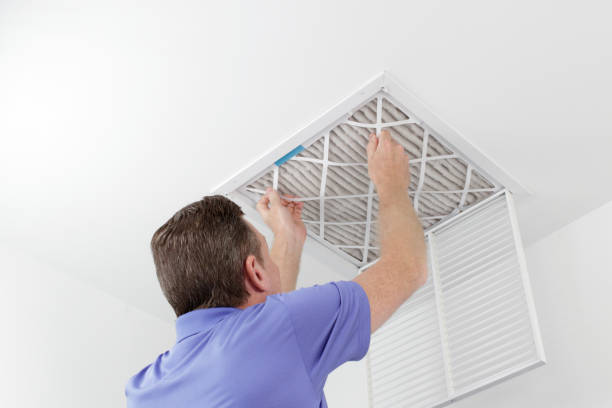 Air Duct Mold Removal in Fowlkes, TN